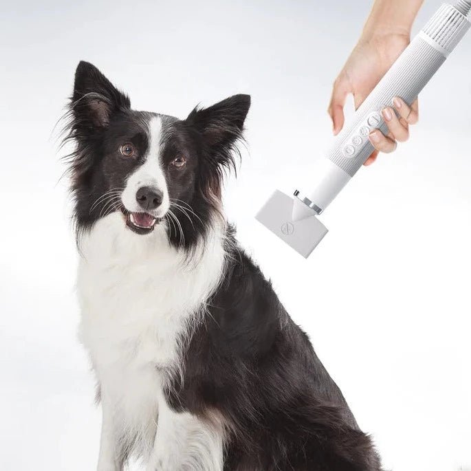 Uah Pet Fluffy-1 High-Velocity Dog Hair Dryer
