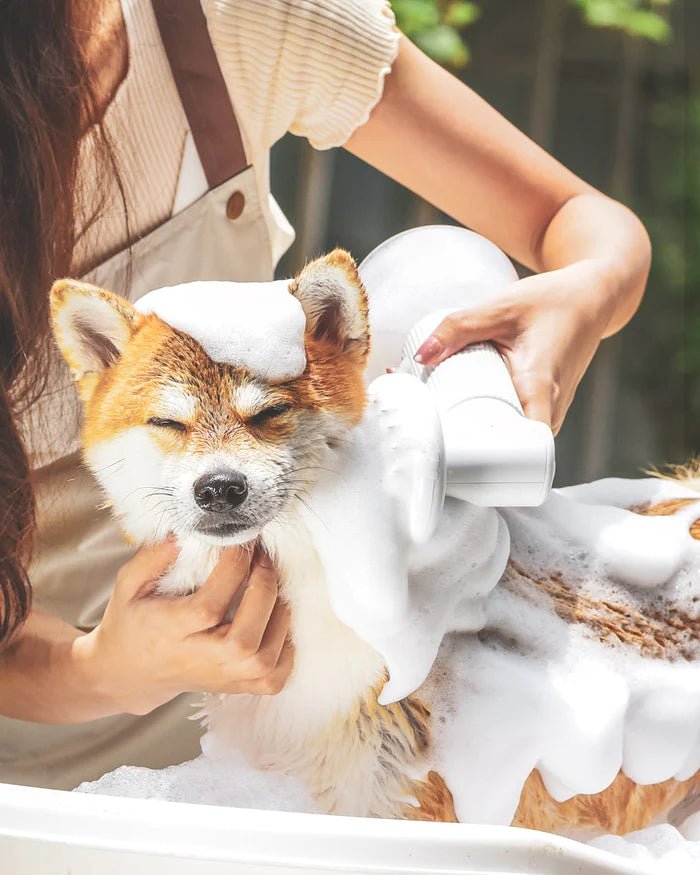 Uah Pet FUR-EVER CLEAN Automatic Foaming Soap Dispenser and Dog Bath Brush