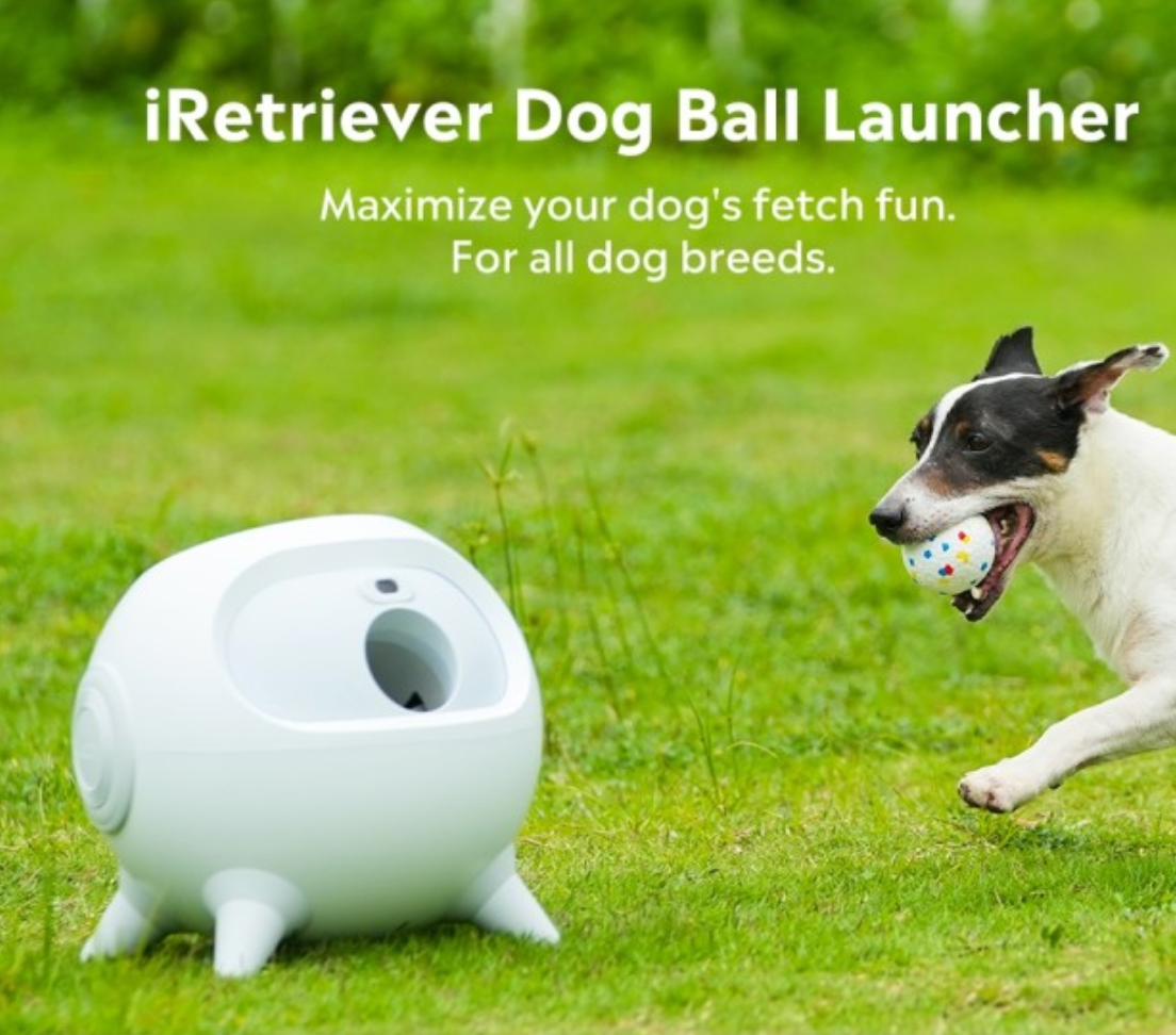 iRetriever:World's Safest Dog Ball Launcher