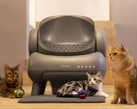 Neakasa M1: Open-Top Self-Cleaning Cat Litter Box - Xiaomi CrowdfundingXiaomi Crowdfunding