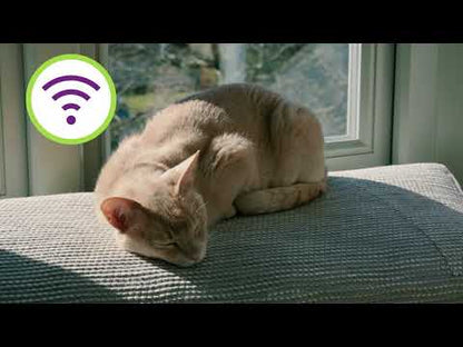 Pawtrack GPS Cat Tracking Collar