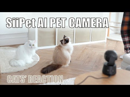 SiiPet: World’s First Pet Behavior Analysis Camera