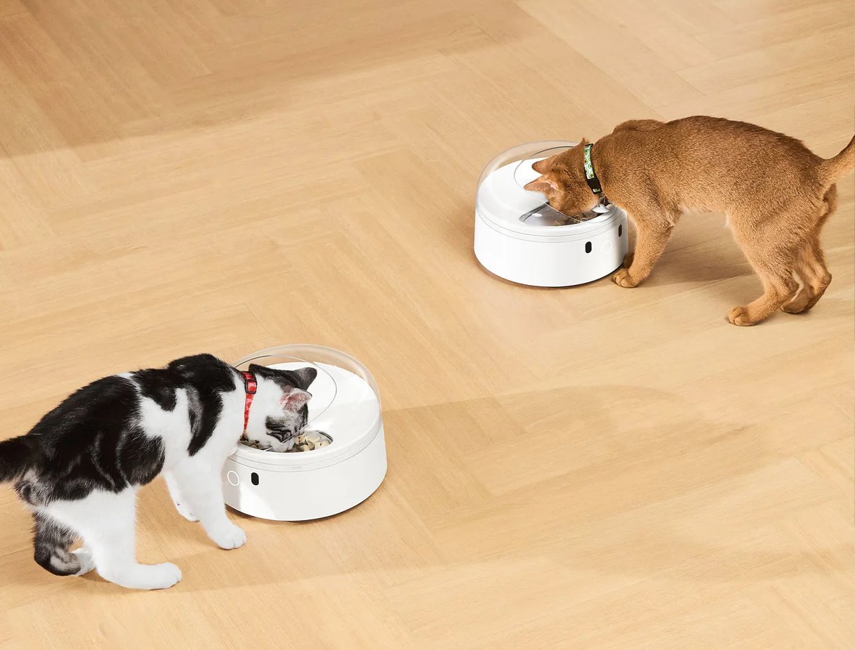 RFID Pet Feeder: Personalize diet for each pet! - Xiaomi CrowdfundingXiaoMi Crowdfunding