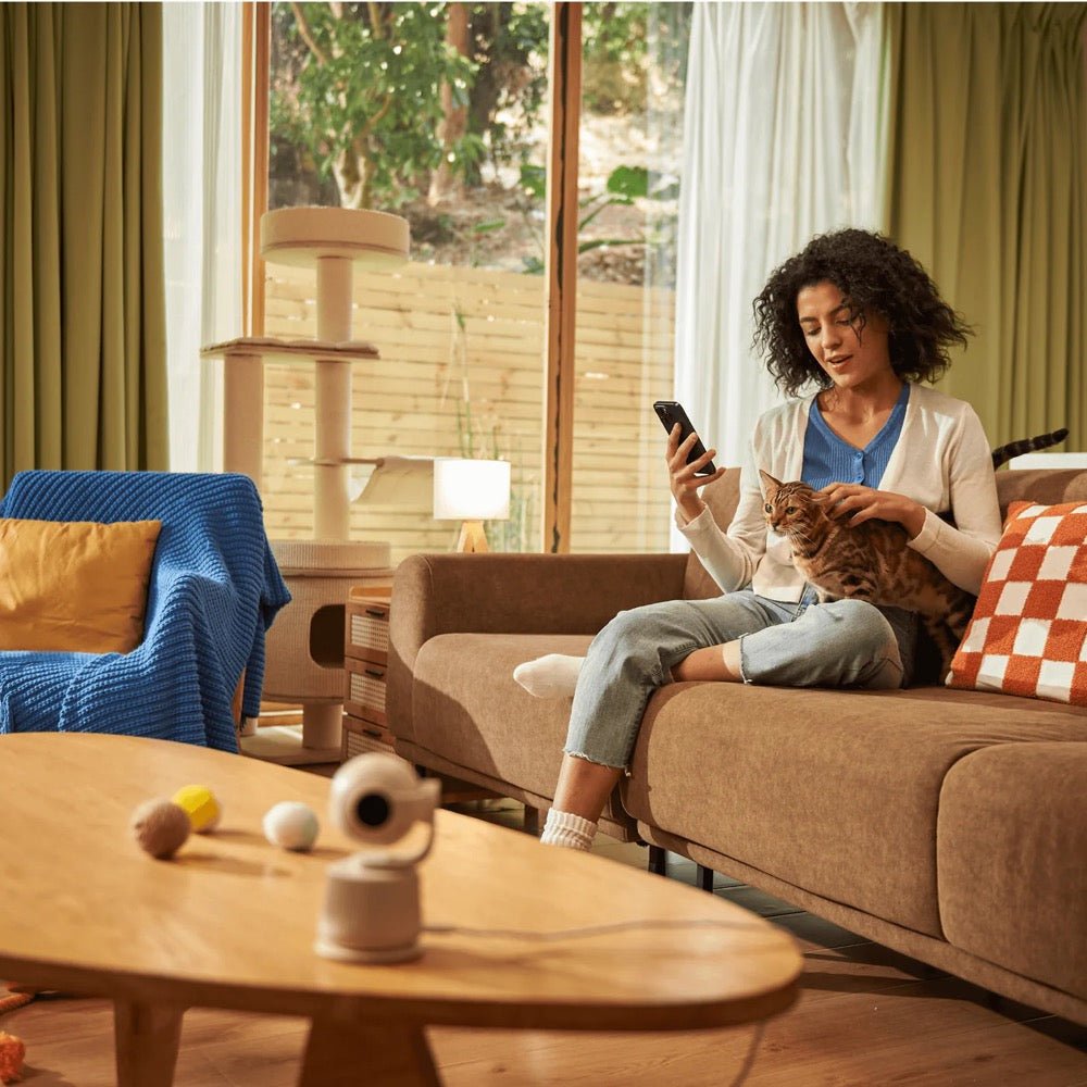 SiiPet: World’s First Pet Behavior Analysis Camera - Xiaomi CrowdfundingXiaoMi Crowdfundingelectronics