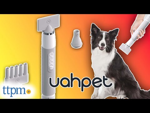 High velocity outlet pet hair dryer