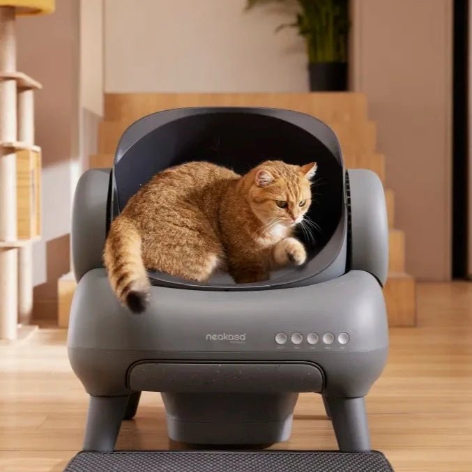 Neakasa M1: Open-Top Self-Cleaning Cat Litter Box